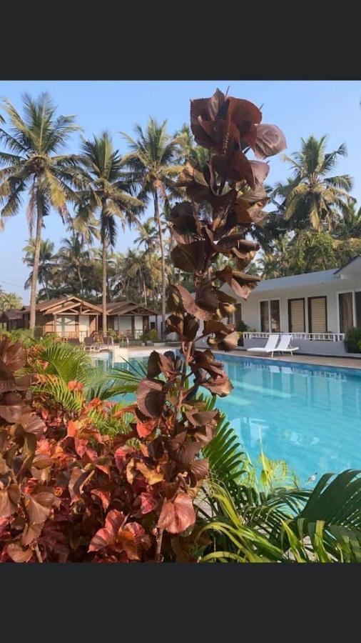 Golden Sands Resort, Morjim Ngoại thất bức ảnh