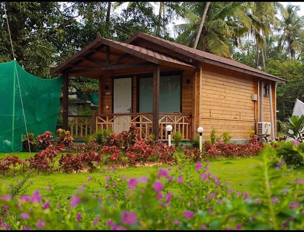 Golden Sands Resort, Morjim Ngoại thất bức ảnh